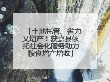 土地托管、省力又增产！获嘉县依托社会化服务助力粮食增产增收