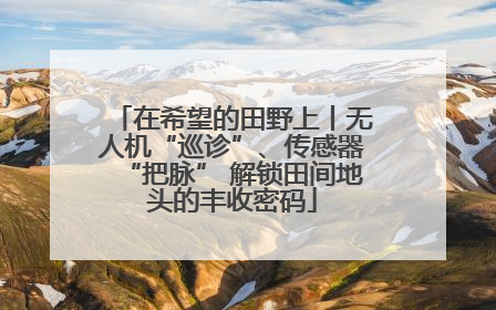 在希望的田野上丨无人机“巡诊”、传感器“把脉” 解锁田间地头的丰收密码