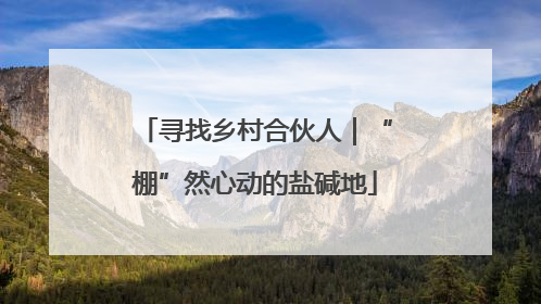 寻找乡村合伙人｜“棚”然心动的盐碱地