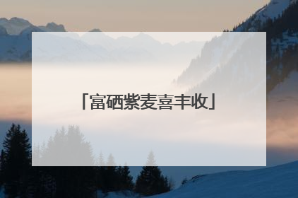 富硒紫麦喜丰收