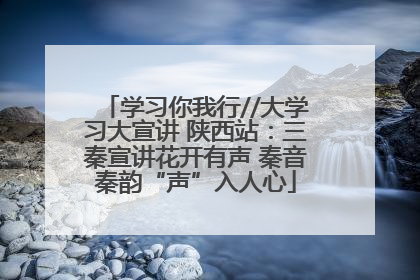 学习你我行//大学习大宣讲 陕西站：三秦宣讲花开有声 秦音秦韵“声”入人心