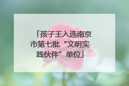孩子王入选南京市第七批“文明实践伙伴”单位