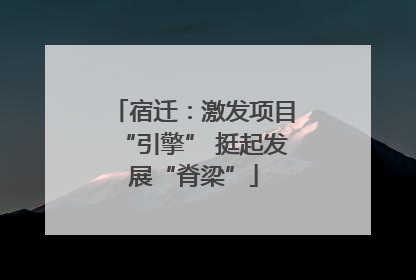 宿迁：激发项目“引擎” 挺起发展“脊梁”