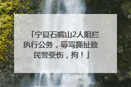 宁夏石嘴山2人阻拦执行公务，辱骂撕扯致民警受伤，拘！