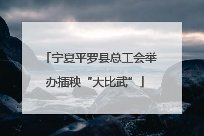 宁夏平罗县总工会举办插秧“大比武”
