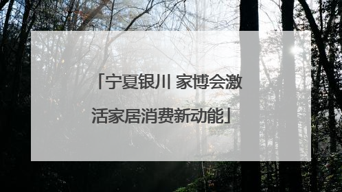 宁夏银川 家博会激活家居消费新动能