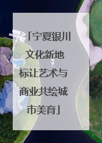 宁夏银川 文化新地标让艺术与商业共绘城市美育