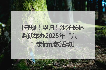 守规！望归！沙洋长林监狱举办2025年“六一”亲情帮教活动