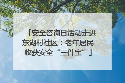安全咨询日活动走进东湖村社区：老年居民收获安全“三件宝”