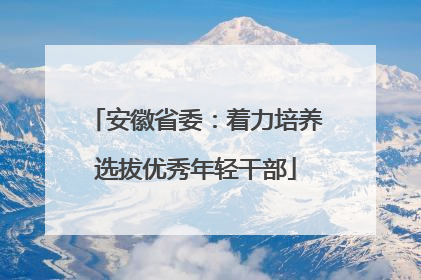 安徽省委：着力培养选拔优秀年轻干部