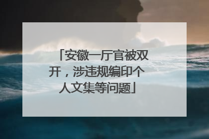 安徽一厅官被双开，涉违规编印个人文集等问题