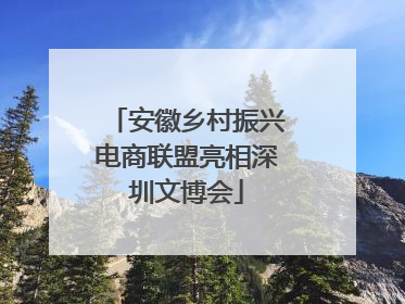 安徽乡村振兴电商联盟亮相深圳文博会
