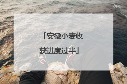 安徽小麦收获进度过半