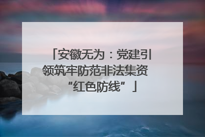 安徽无为：党建引领筑牢防范非法集资“红色防线”