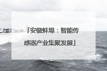 安徽蚌埠：智能传感器产业集聚发展