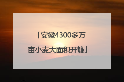 安徽4300多万亩小麦大面积开镰