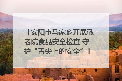 安阳市马家乡开展敬老院食品安全检查 守护“舌尖上的安全”
