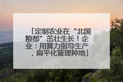 定制农业在“北国粮都”茁壮生长！企业：用算力指导生产，扁平化管理种地