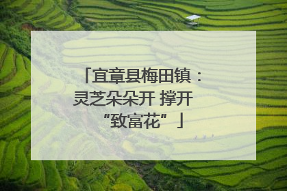 宜章县梅田镇：灵芝朵朵开 撑开“致富花”
