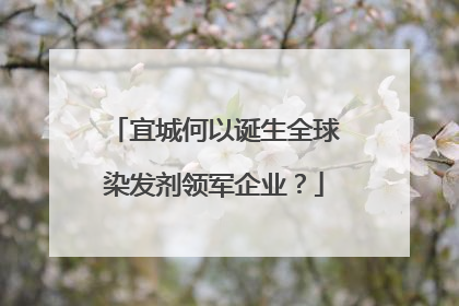 宜城何以诞生全球染发剂领军企业？