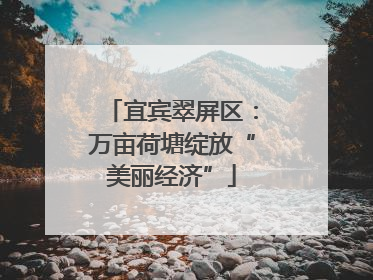宜宾翠屏区：万亩荷塘绽放“美丽经济”