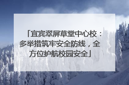 宜宾翠屏草堂中心校：多举措筑牢安全防线，全方位护航校园安全