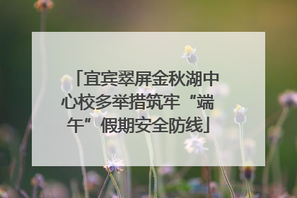 宜宾翠屏金秋湖中心校多举措筑牢“端午”假期安全防线
