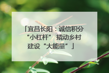 宜昌长阳：诚信积分“小杠杆” 撬动乡村建设“大能量”