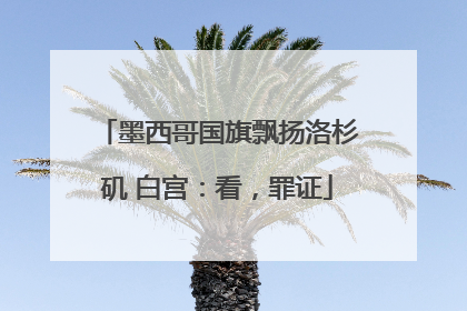墨西哥国旗飘扬洛杉矶 白宫：看，罪证