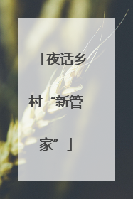 夜话乡村“新管家”