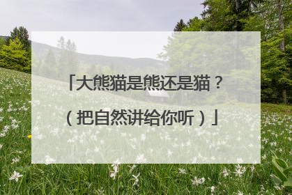 大熊猫是熊还是猫？（把自然讲给你听）