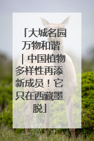 大城名园 万物和谐｜中国植物多样性再添新成员！它只在西藏墨脱
