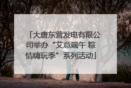 大唐东营发电有限公司举办“艾意端午 粽情嗨玩季”系列活动