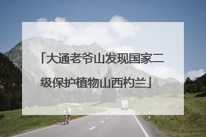 大通老爷山发现国家二级保护植物山西杓兰