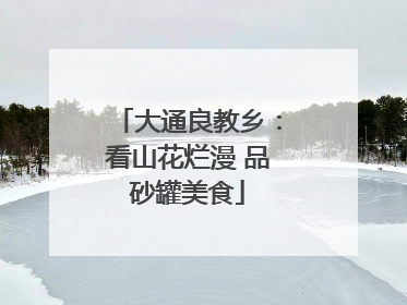 大通良教乡：看山花烂漫 品砂罐美食