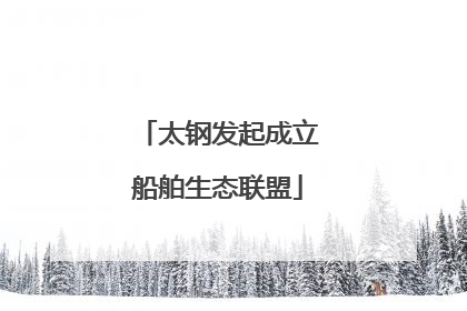 太钢发起成立船舶生态联盟