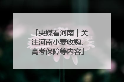 央媒看河南｜关注河南小麦收购、高考保障等内容