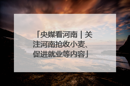 央媒看河南｜关注河南抢收小麦、促进就业等内容