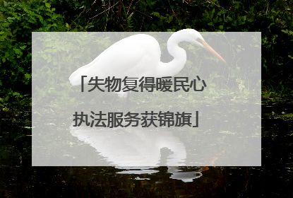 失物复得暖民心 执法服务获锦旗