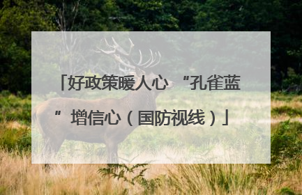 好政策暖人心 “孔雀蓝”增信心（国防视线）