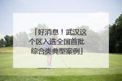 好消息！武汉这个区入选全国首批综合类典型案例