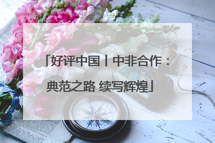 好评中国丨中非合作：典范之路 续写辉煌