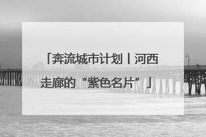 奔流城市计划丨河西走廊的“紫色名片”