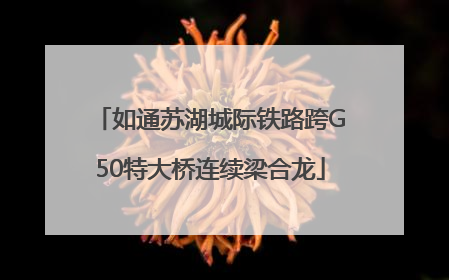 如通苏湖城际铁路跨G50特大桥连续梁合龙