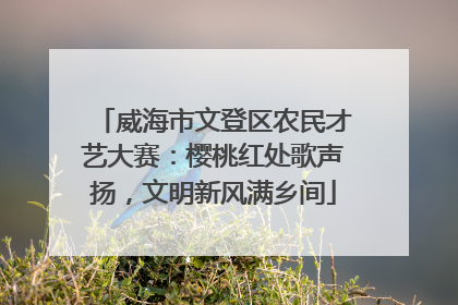威海市文登区农民才艺大赛：樱桃红处歌声扬，文明新风满乡间