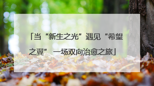 当“新生之光”遇见“希望之翼” 一场双向治愈之旅