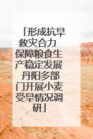 形成抗旱救灾合力 保障粮食生产稳定发展 丹阳多部门开展小麦受旱情况调研