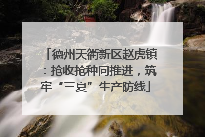 德州天衢新区赵虎镇：抢收抢种同推进，筑牢“三夏”生产防线
