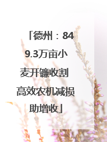 德州：849.3万亩小麦开镰收割 高效农机减损助增收