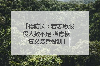 德防长：若志愿服役人数不足 考虑恢复义务兵役制